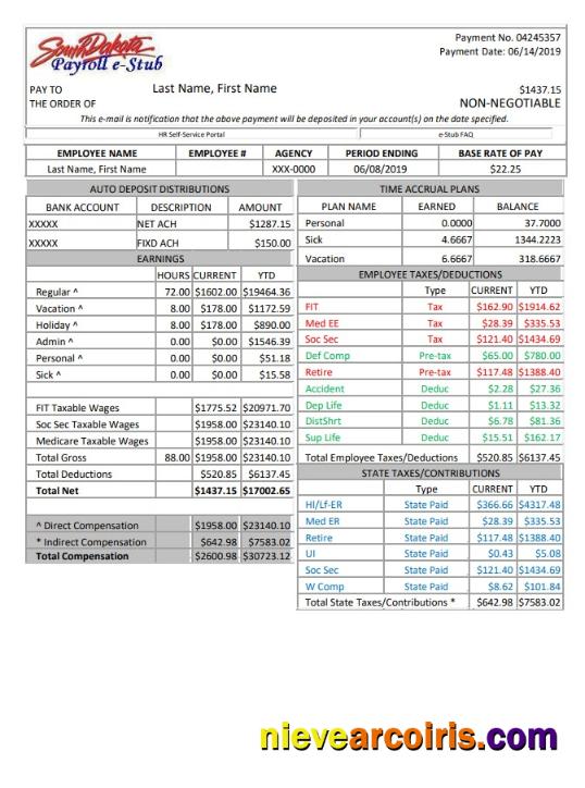 South Dakota payroll e-stub